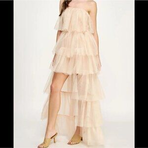 Pink Tulle Romantic Whimsical Ballet Coquette Tiered Ballerina Train Dress Large